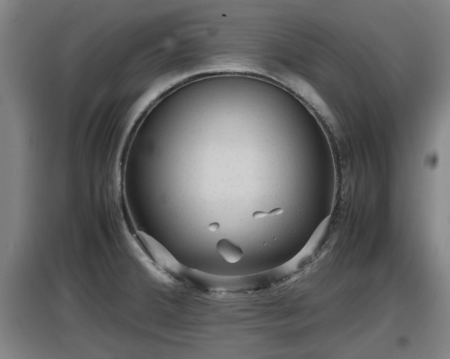 X0000097461380200802291226