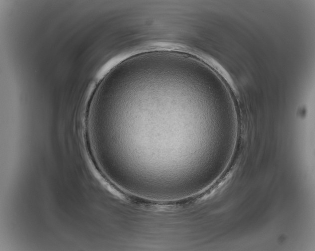 X0000097461381200802291226