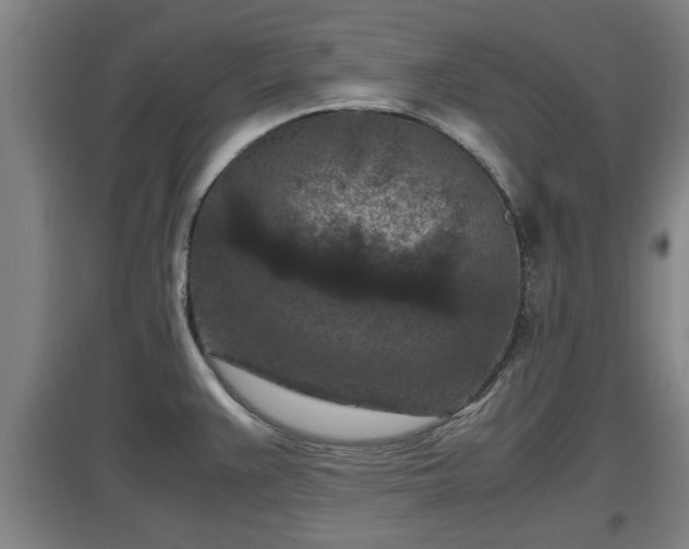 X0000097461383200802291226