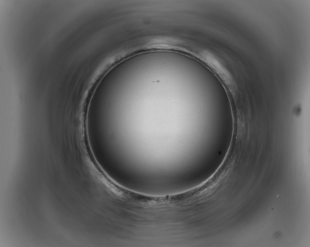 X0000097461384200802291226