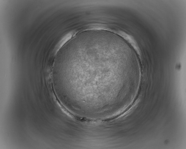 X0000097461385200802291226