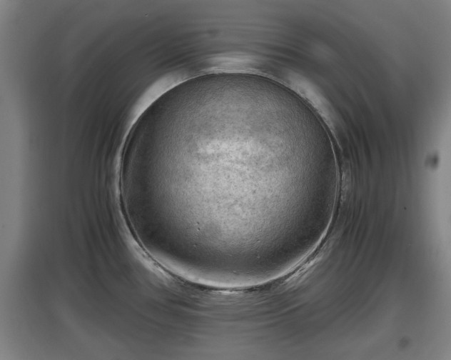 X0000097461386200802291226