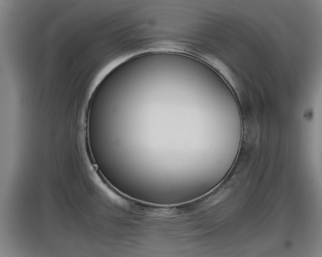 X0000097461387200802291226