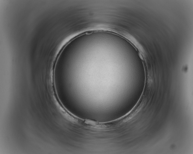 X0000097461388200802291226