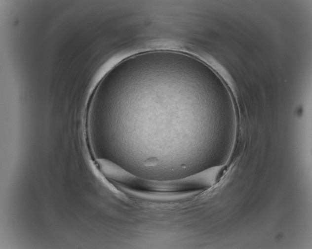 X0000097461389200802291226