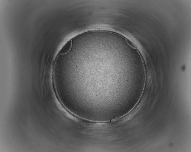 X0000097461390200802291226