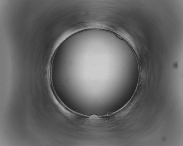 X0000097461391200802291226