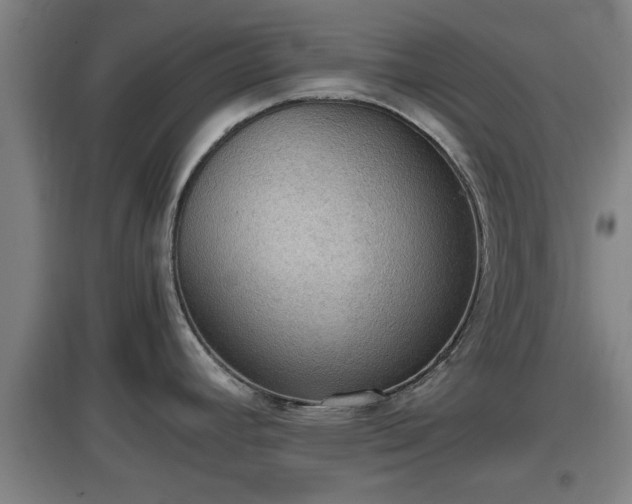 X0000097461392200802291226