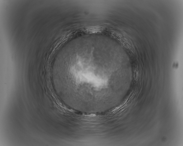 X0000097461393200802291225