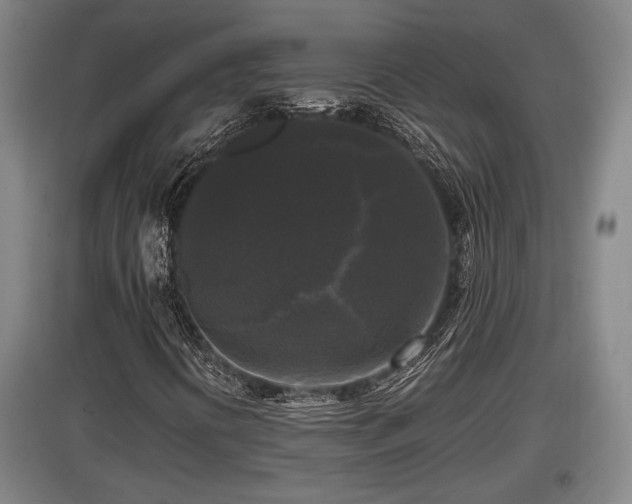 X0000097461394200802291225
