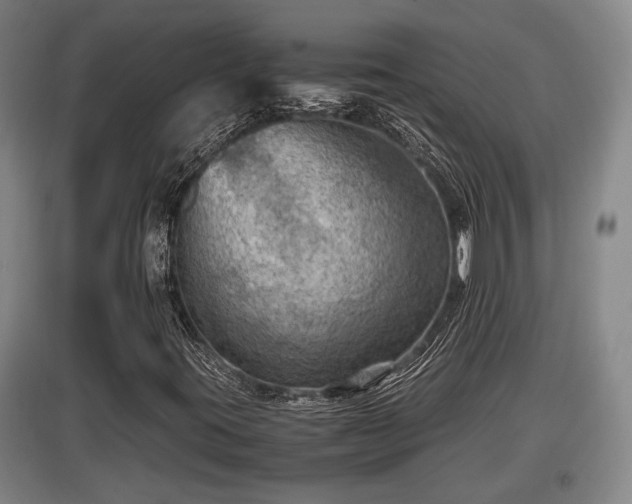X0000097461395200802291225