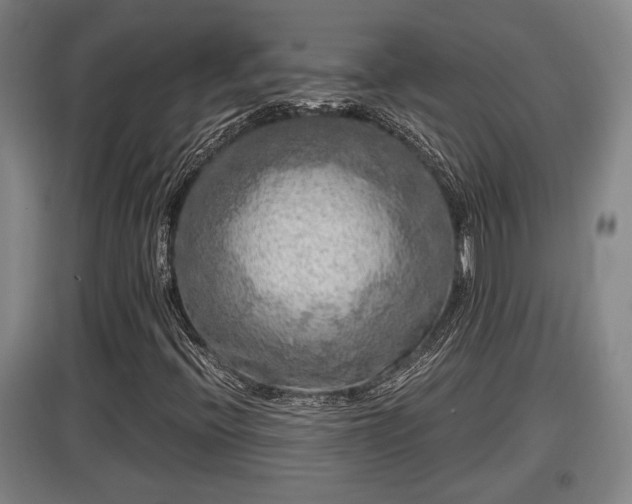 X0000097461396200802291225