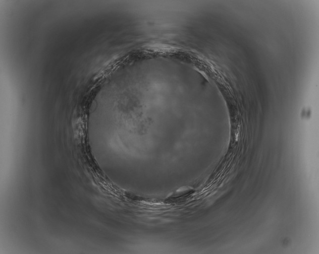 X0000097461397200802291225