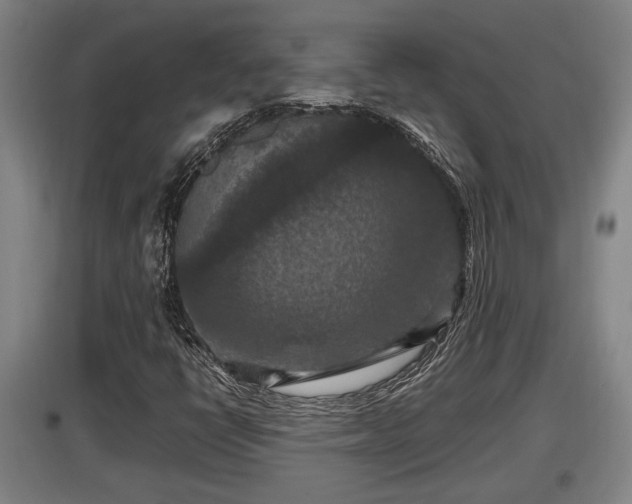 X0000097461398200802291225