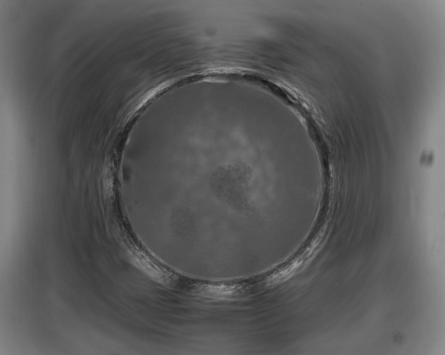 X0000097461401200802291225