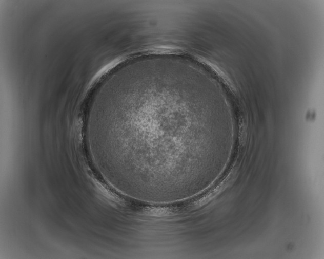 X0000097461402200802291225