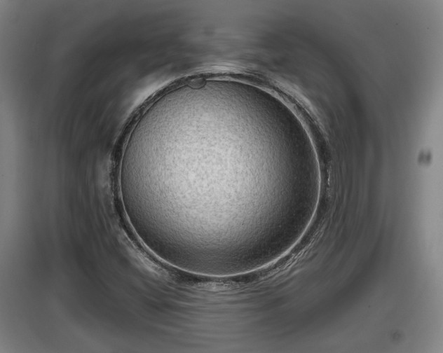 X0000097461404200802291225