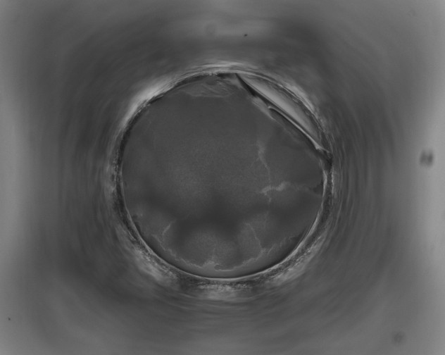 X0000097461405200802291225