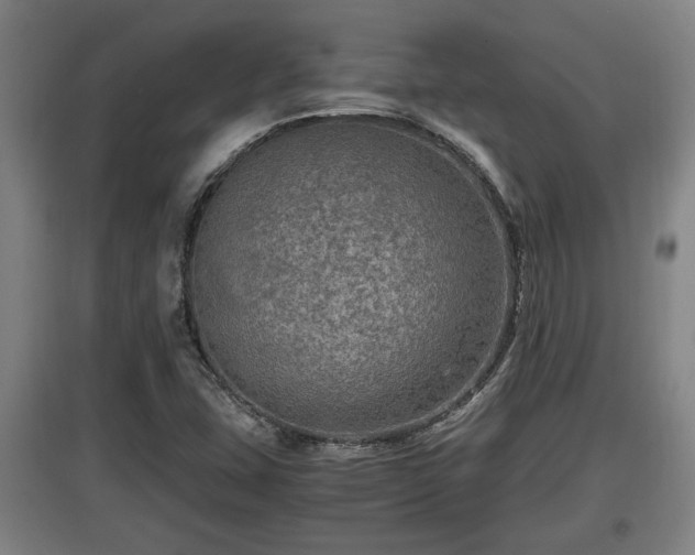 X0000097461407200802291225