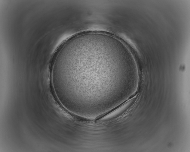 X0000097461408200802291225