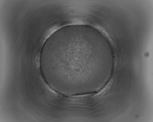 X0000097461409200802291225