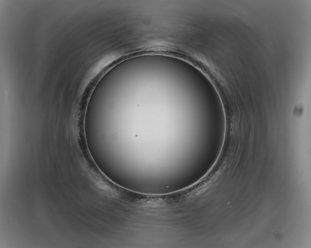 X0000097461410200802291225