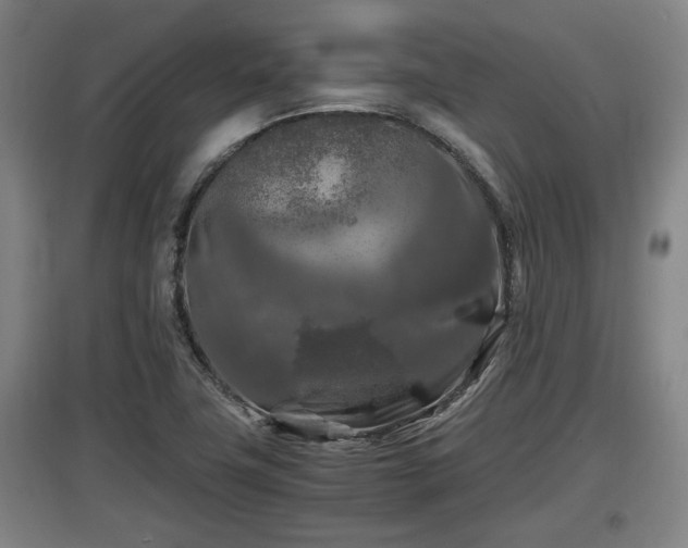 X0000097461411200802291225
