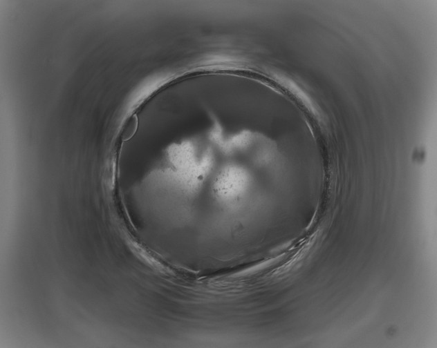 X0000097461413200802291225