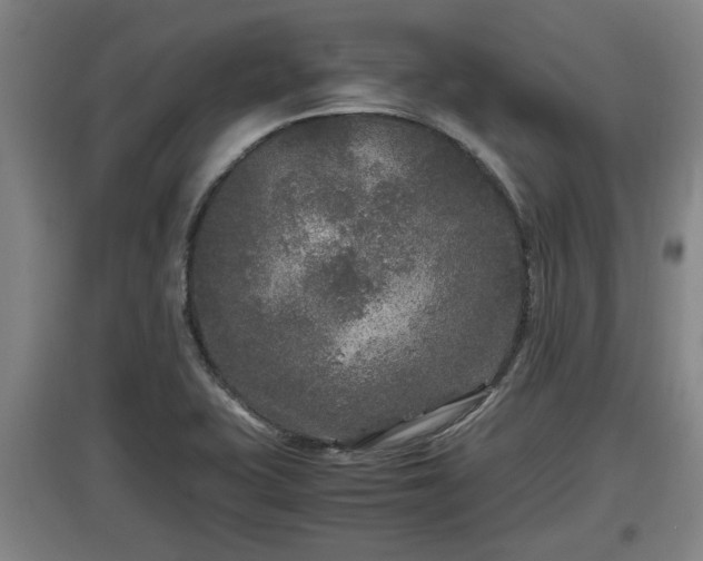 X0000097461415200802291225
