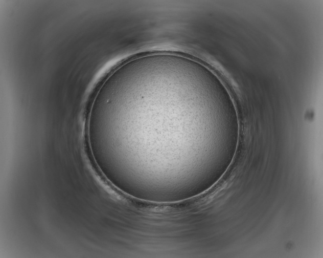 X0000097461416200802291225