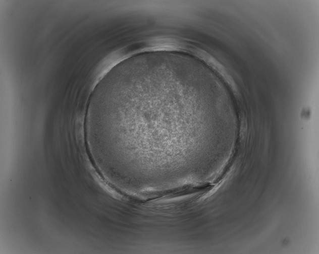 X0000097461417200802291225