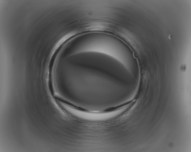 X0000097461418200802291225