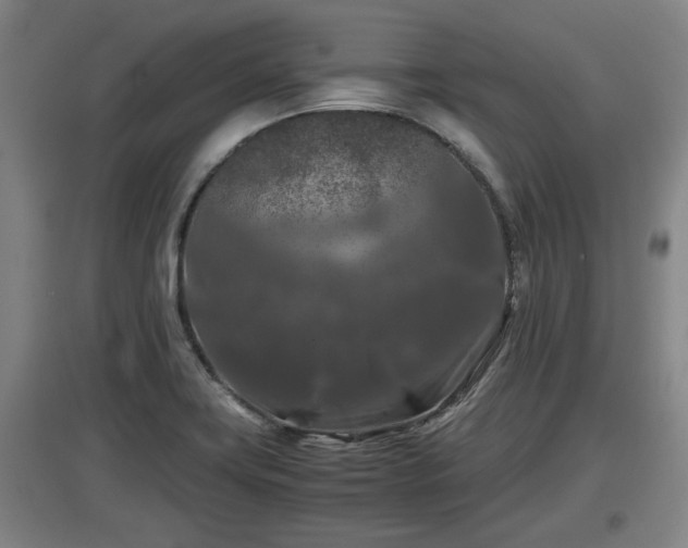 X0000097461419200802291225