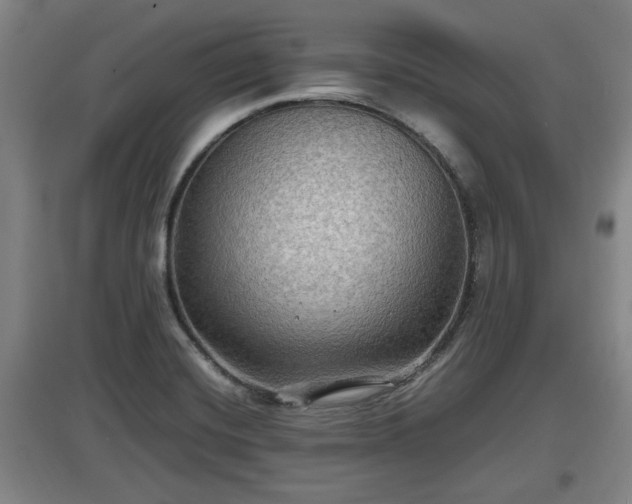 X0000097461420200802291225