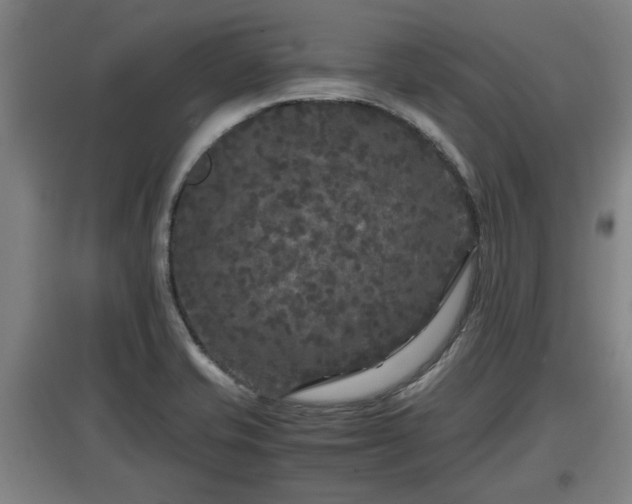 X0000097461421200802291225