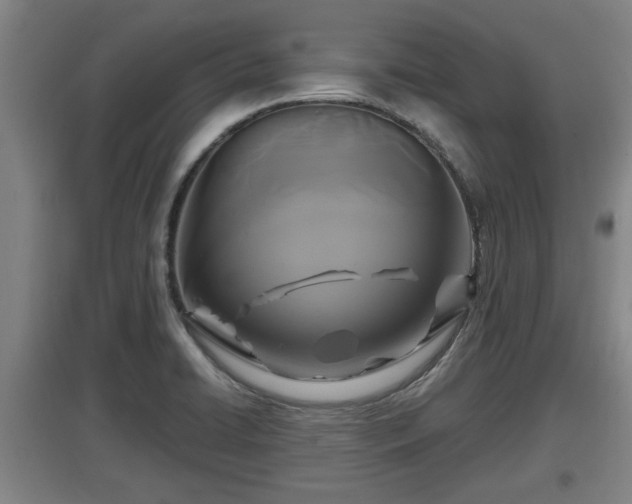 X0000097461422200802291225