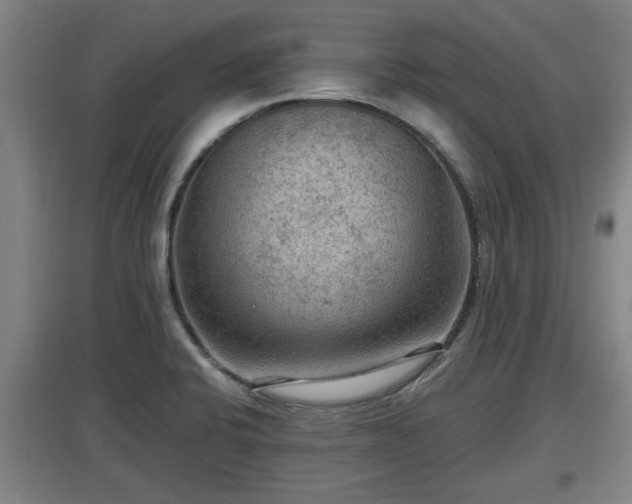X0000097461424200802291225