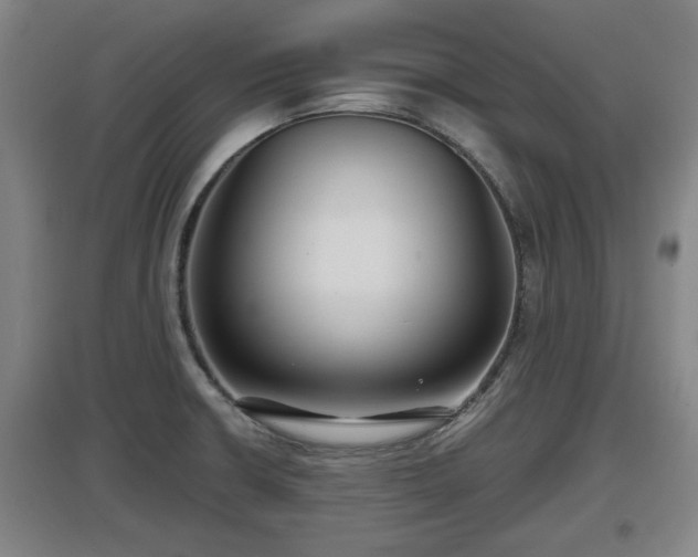 X0000097461426200802291225