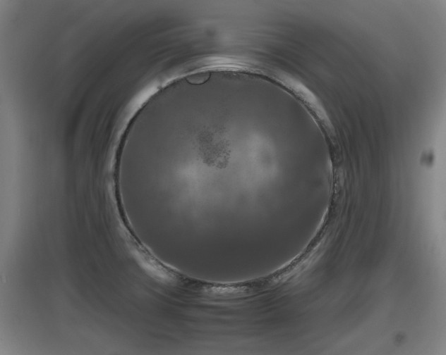 X0000097461427200802291225