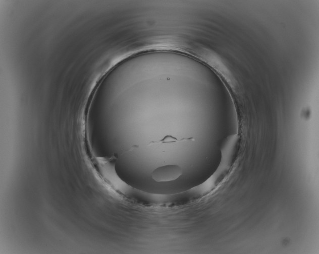 X0000097461428200802291225