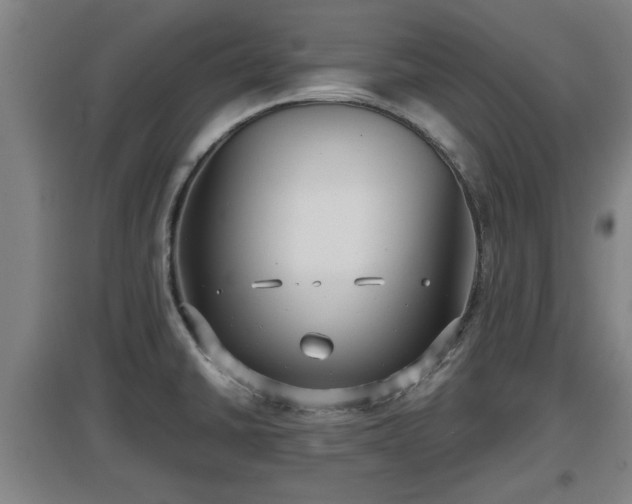 X0000097461430200802291225