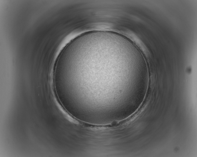 X0000097461432200802291226