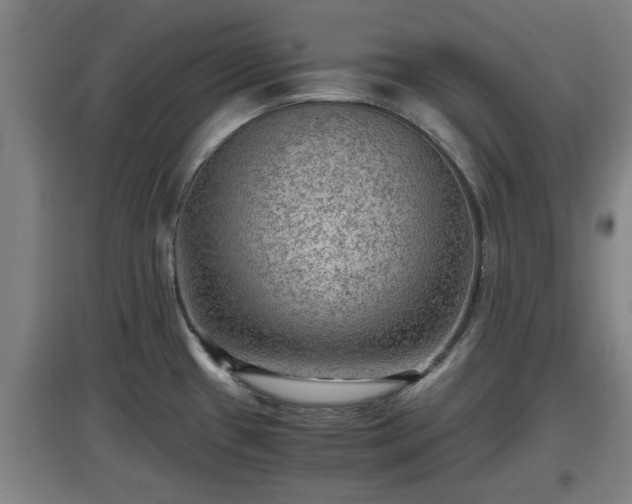 X0000097461433200802291226