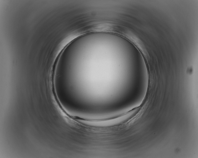 X0000097461434200802291226