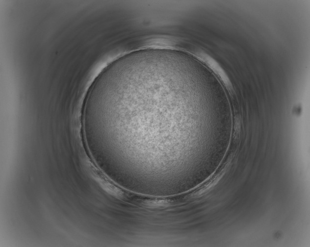 X0000097461435200802291226