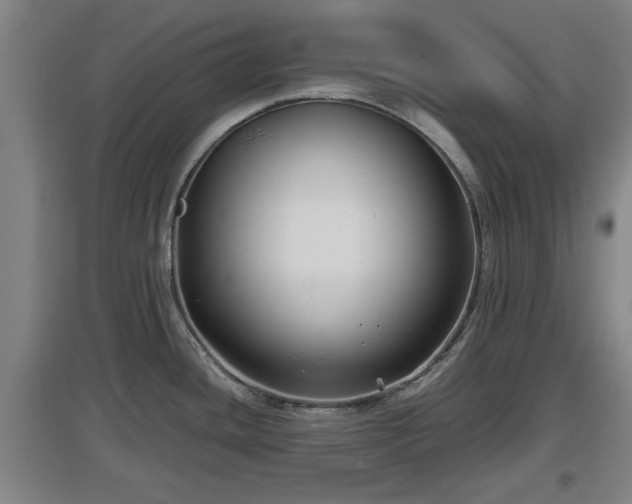 X0000097461436200802291226