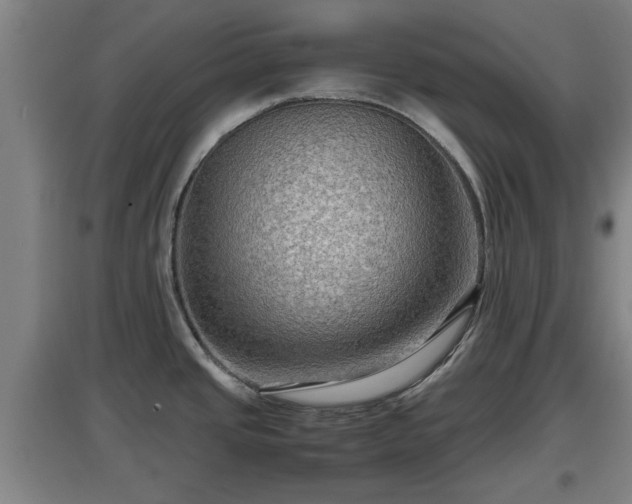 X0000097461437200802291226