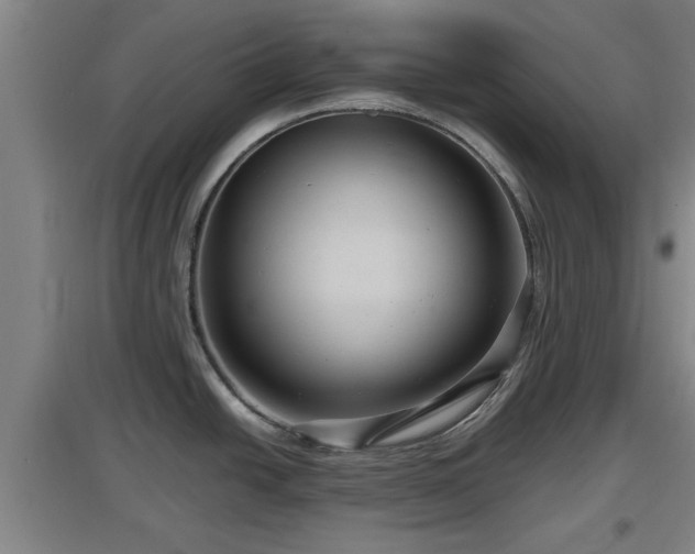 X0000097461438200802291226