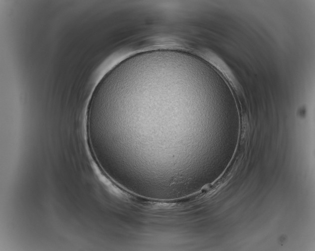 X0000097461439200802291226