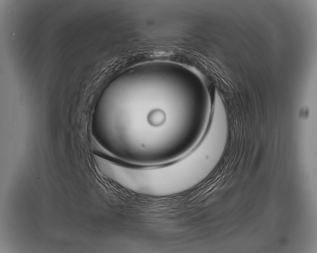 X0000097461441200802291225